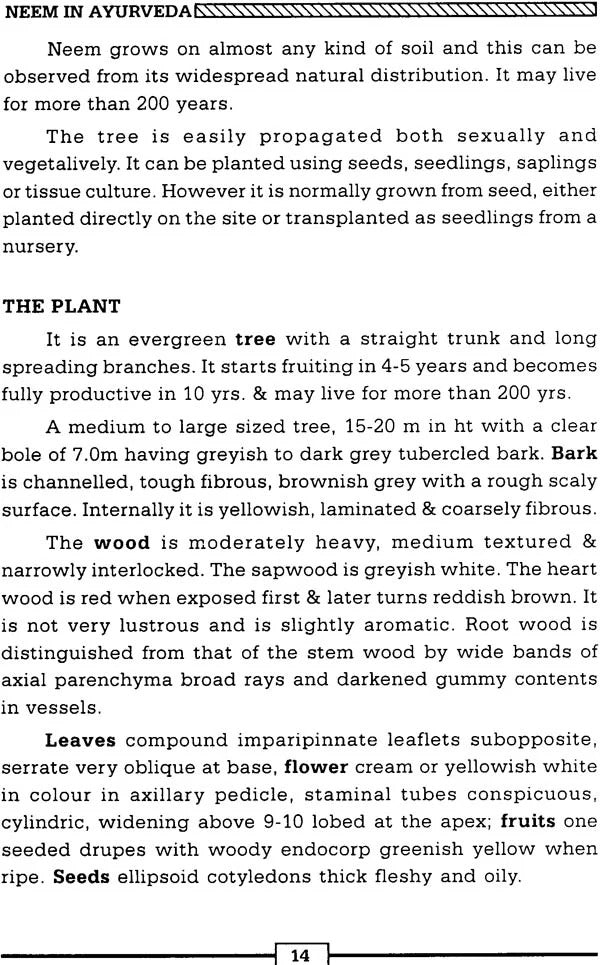 Neem in Ayurveda