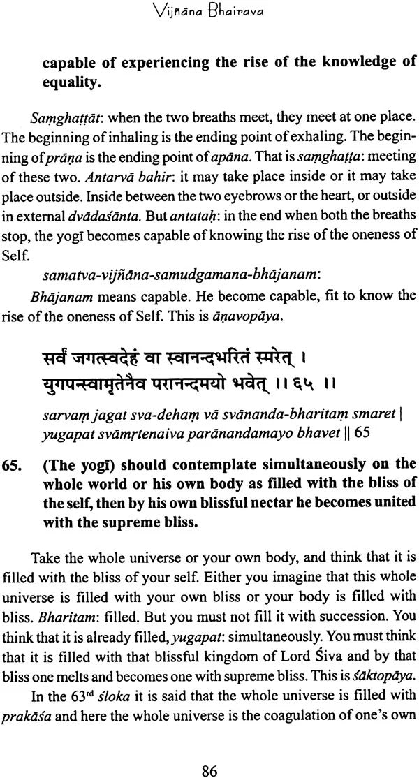 Vijnana Bhairava: The Practice of Centring Awareness