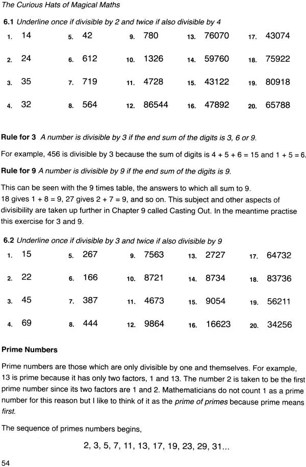 The Curious Hats of Magical Maths: Vedic Mathematics for Schools Book 2