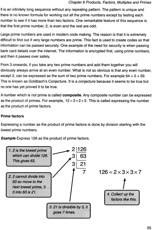 The Curious Hats of Magical Maths: Vedic Mathematics for Schools Book 2