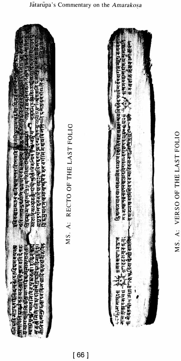 Jatarupa's Commentary on the Amarakosa (2 Parts): For the first time critically edited together with an Introduction, Appendices and Indices