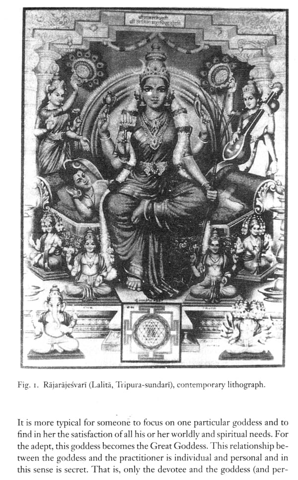 Tantric Visions of the Divine Feminine (The Ten Mahavidyas)