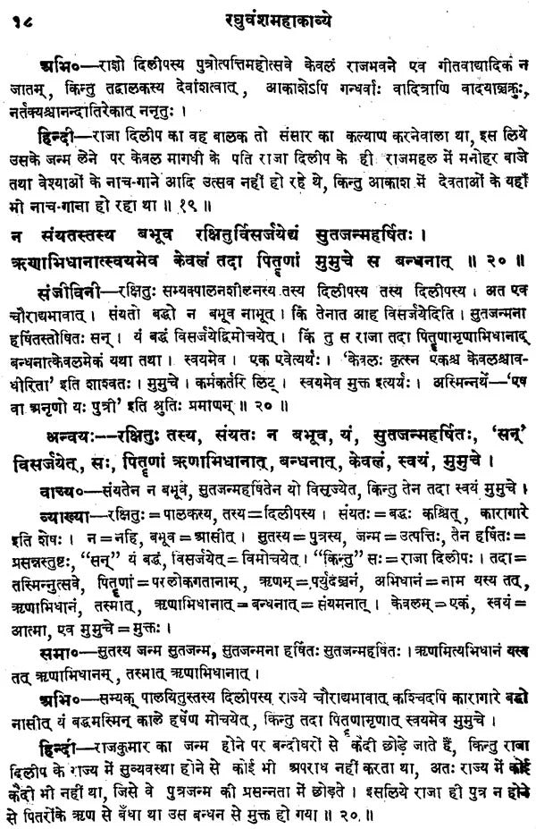 Raghuvansh-Mahakavya-Mahakavi Kalidas Praneet (Sampurna): Sanskrit-Hindi Vyakhya