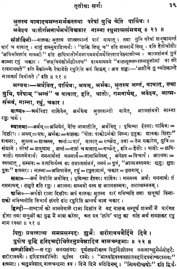 Raghuvansh-Mahakavya-Mahakavi Kalidas Praneet (Sampurna): Sanskrit-Hindi Vyakhya