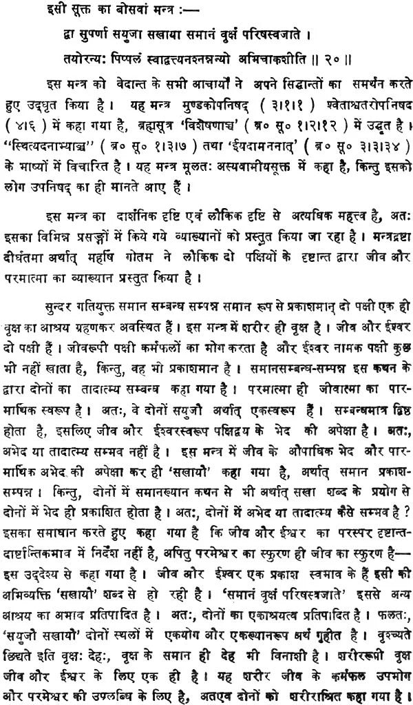 Vedantsaar: Srisadanand Praneet: Hindi Viyakhya Sahit