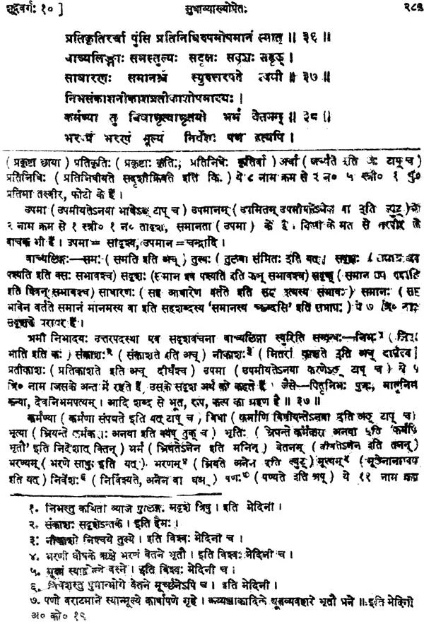 Amarkosh: Shrimadmarsingh Virachit: 'Sudha' Sanskrit-Hindi Vyakhya (Sampurna)