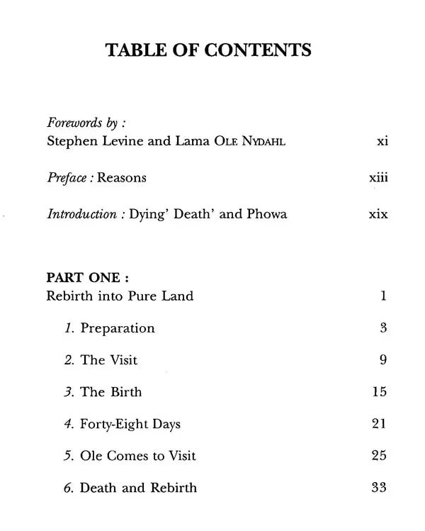 Rebirth Into Pure Land- A True Story of Birth, Death, and Transformation and How We Can Prepare for The Most Amazing Journey of Our Lives