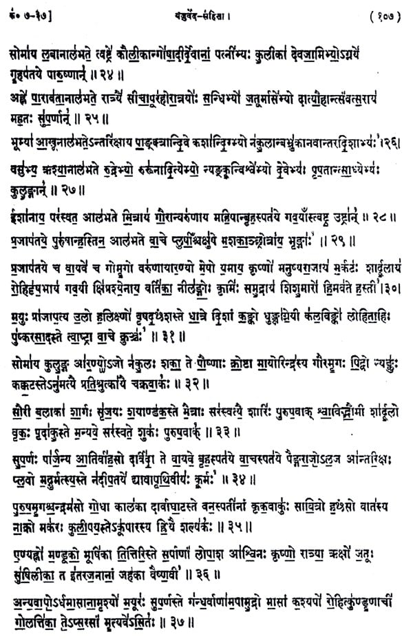 यजुर्वेद- संहिता,Yajurveda - Samhita